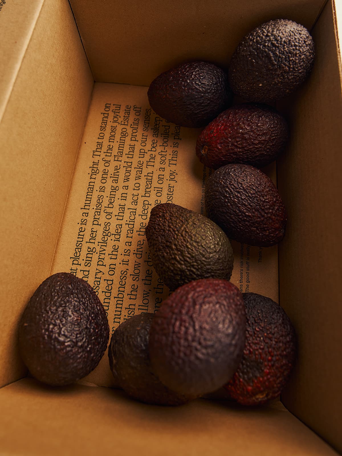 Organic Avocado Box - Image 8