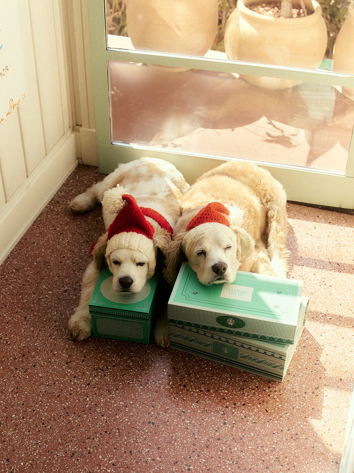 The Guide To Becoming Alive Dog Toy - Image 4