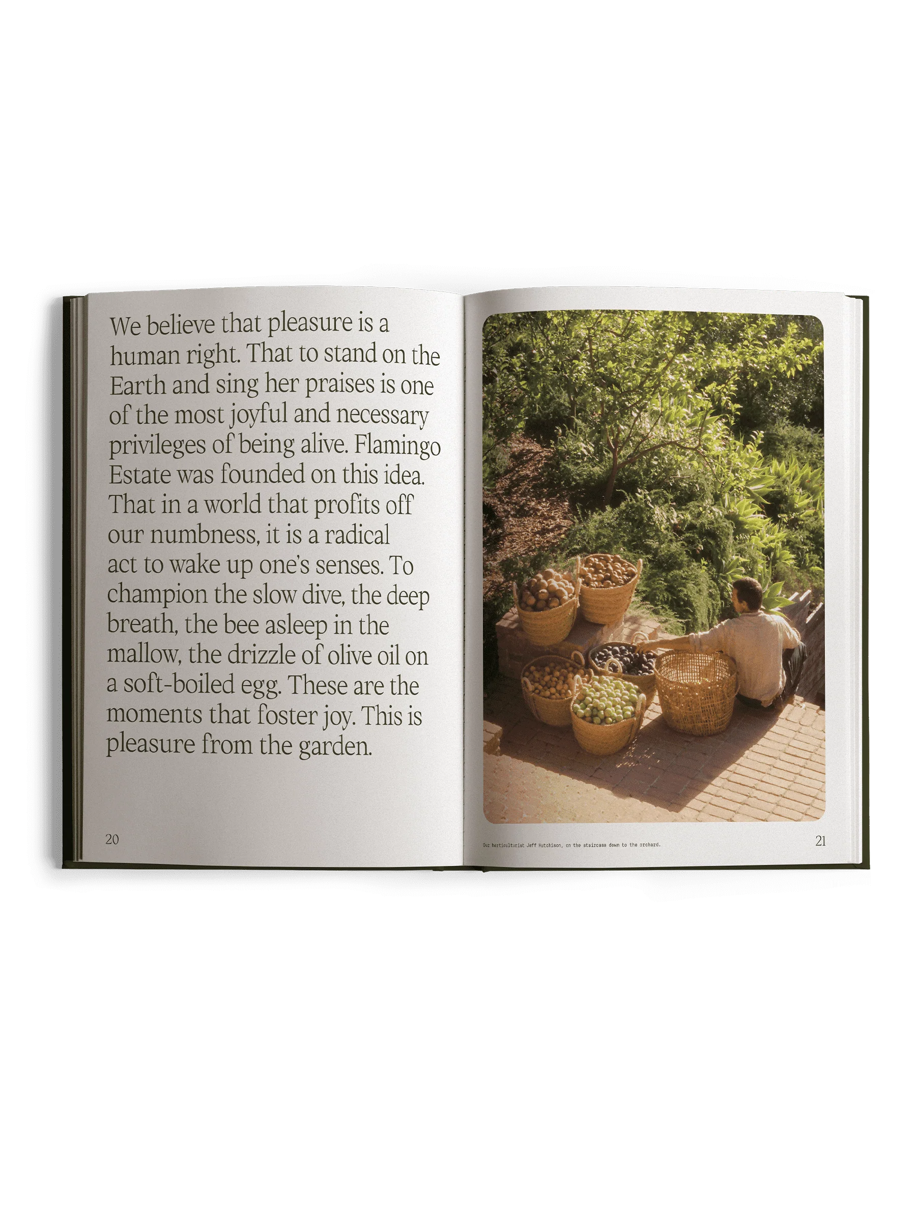 Fridays From the Garden Cookbook - Image 8