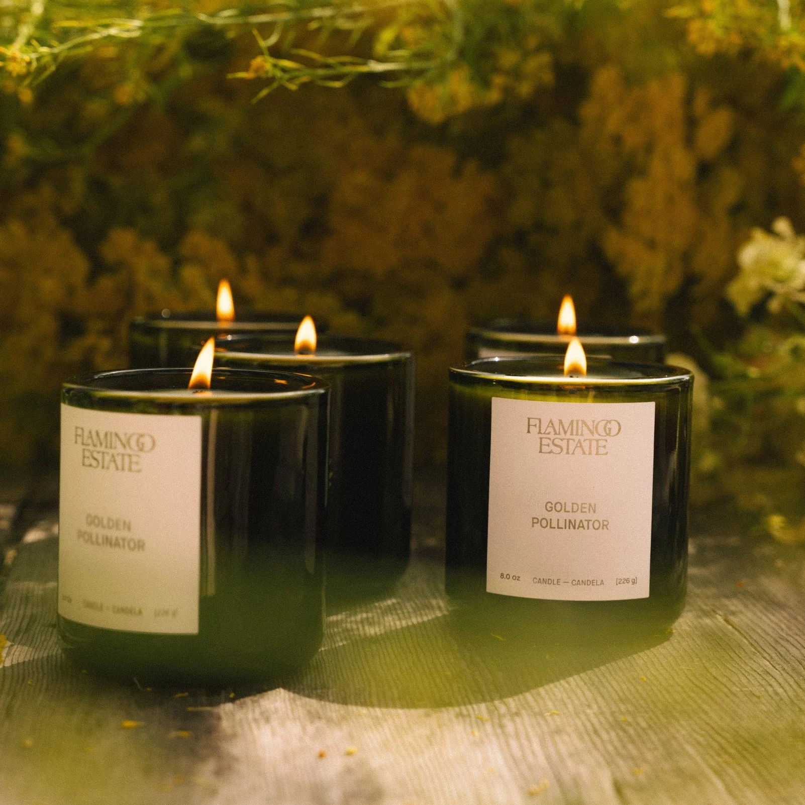 Golden Pollinator Candle - Image 3