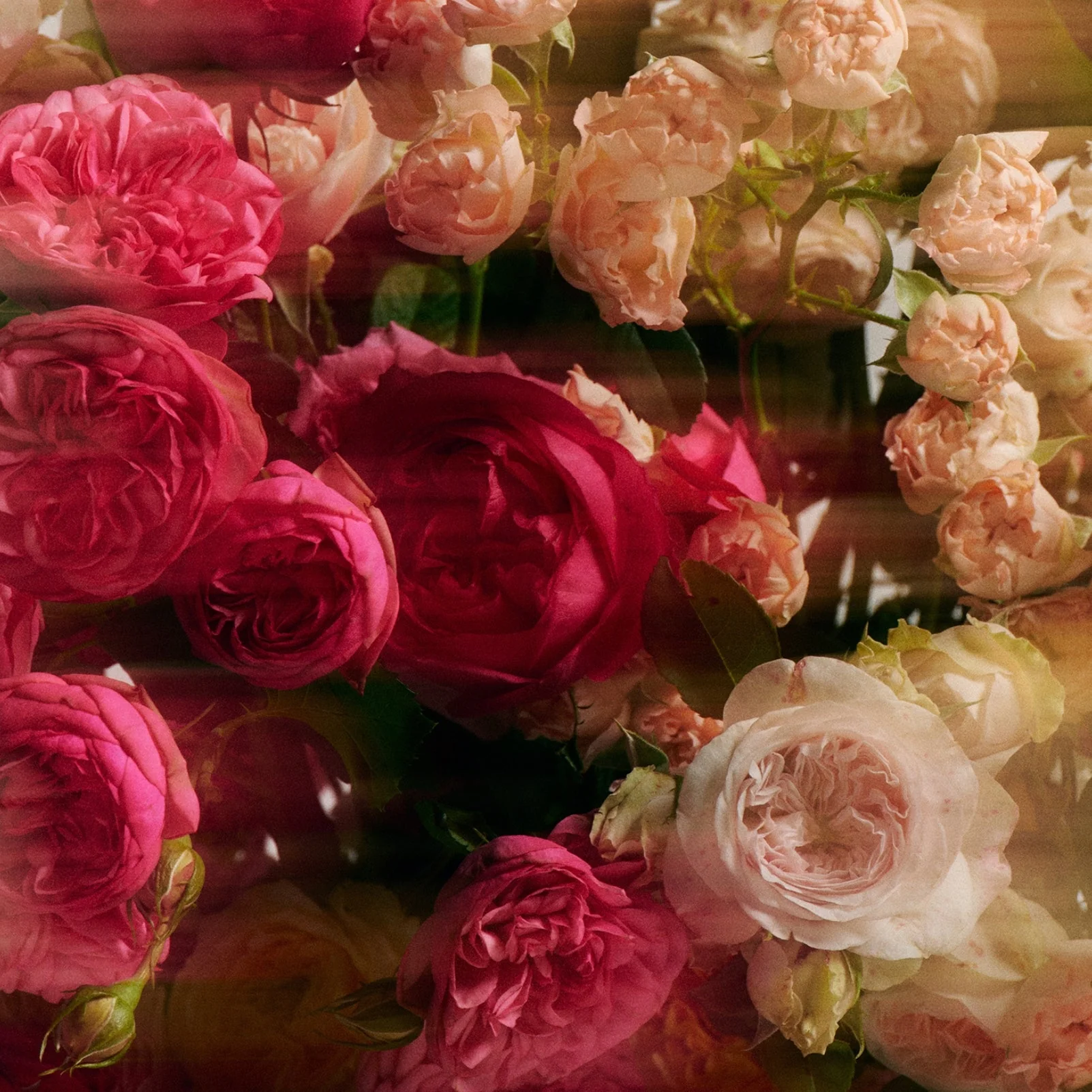 Jasmine Damask Rose Glass Hand Soap - Image 5
