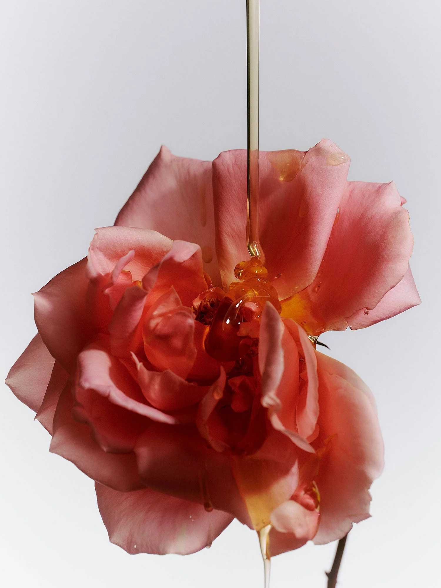 Jasmine Damask Rose Hand Soap - Image 8