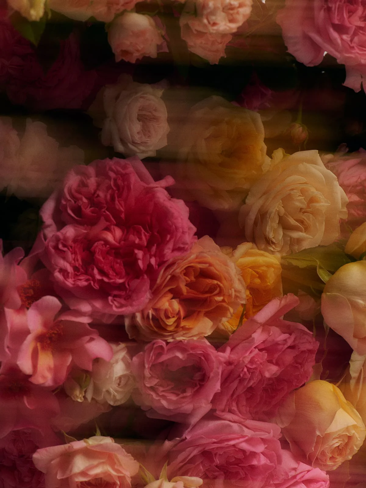 Mini Jasmine Rose Candle - Image 4