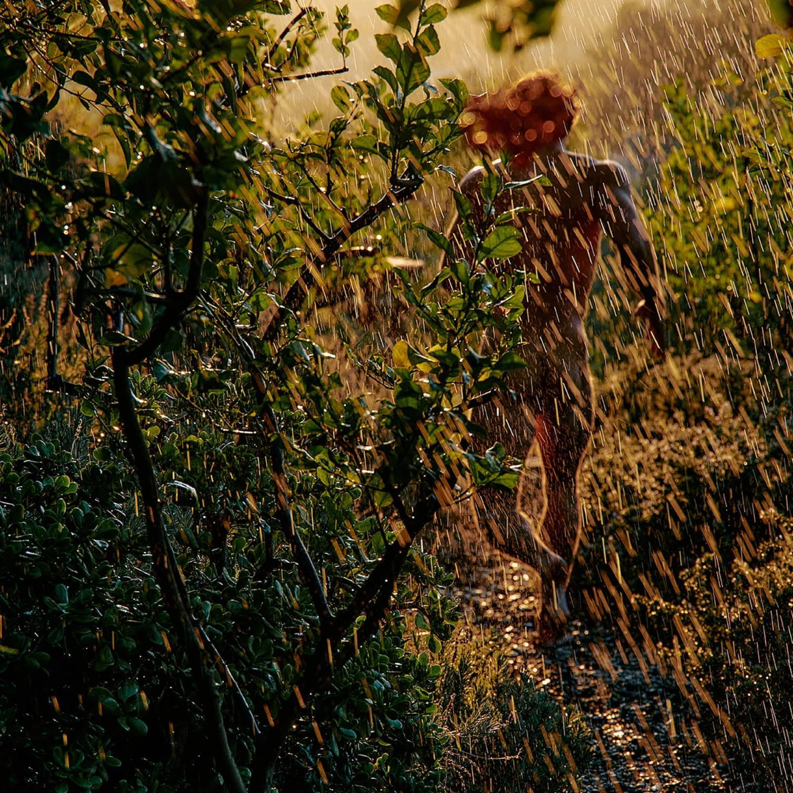Petrichor Candle - Image 3