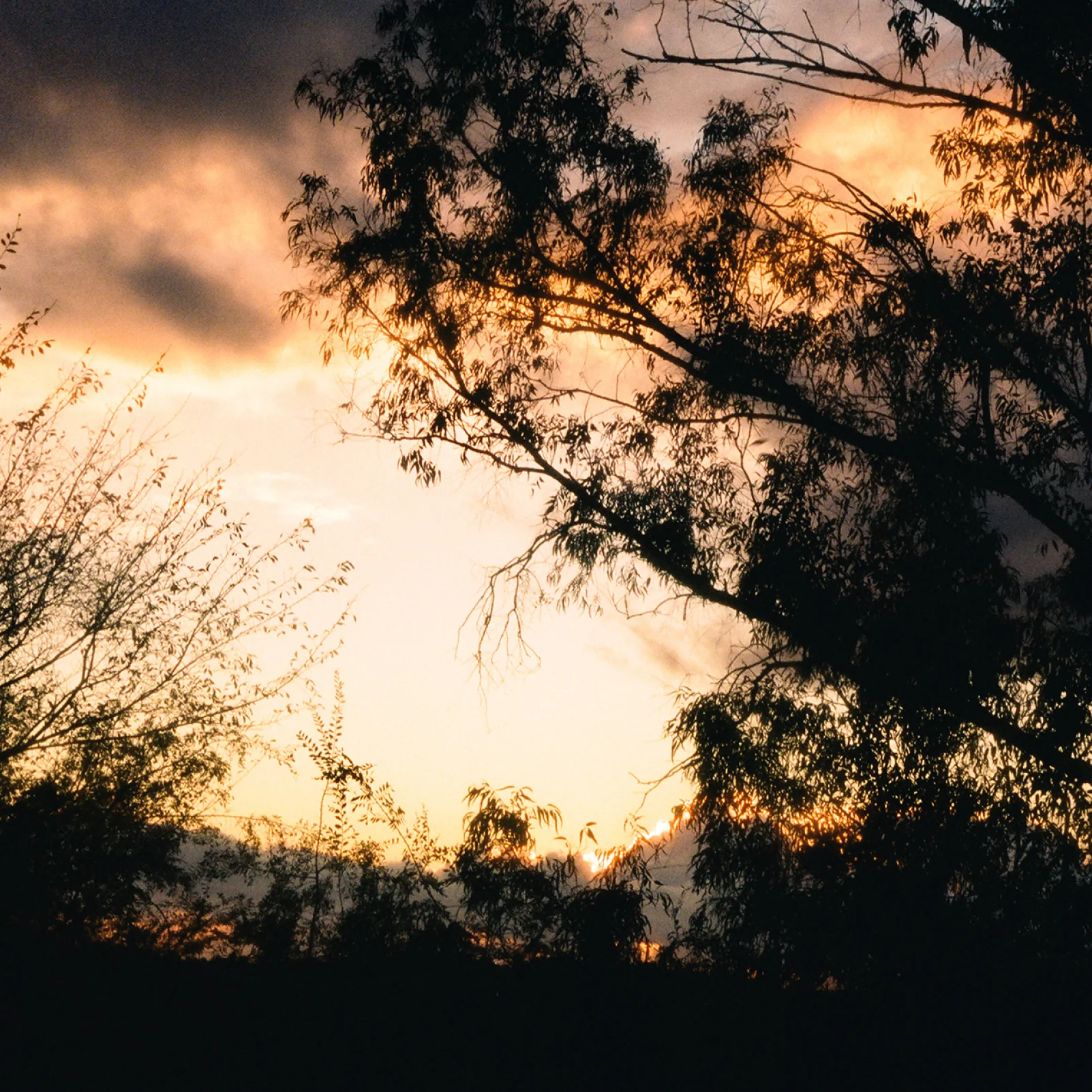 Petrichor Candle - Image 5