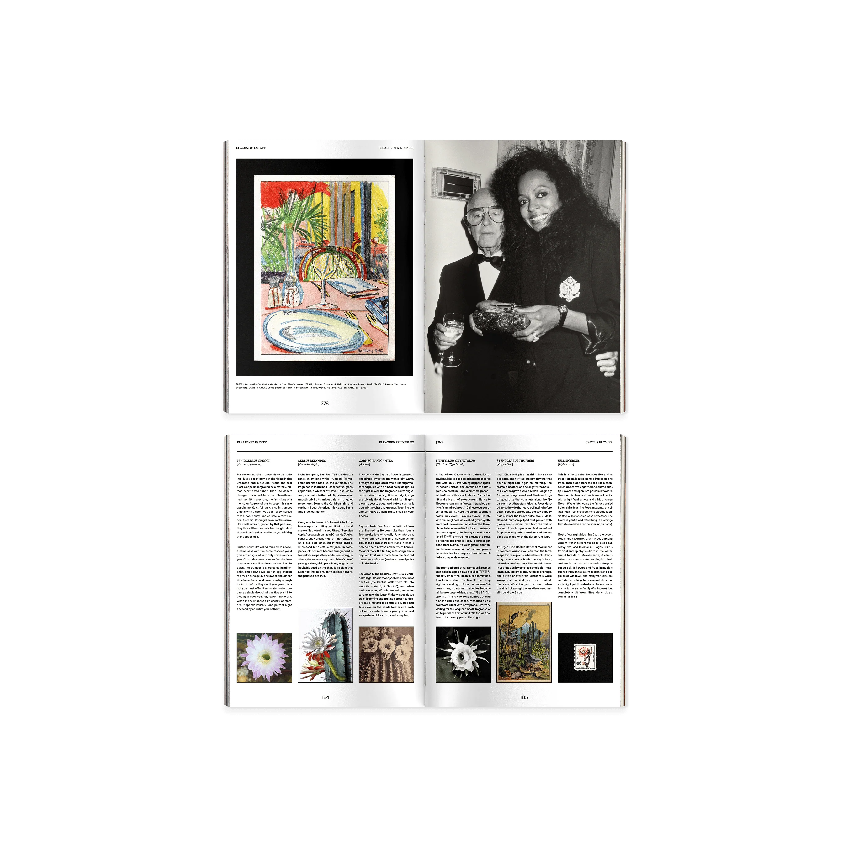 Pleasure Principles: An Almanac from the Garden - Image 8