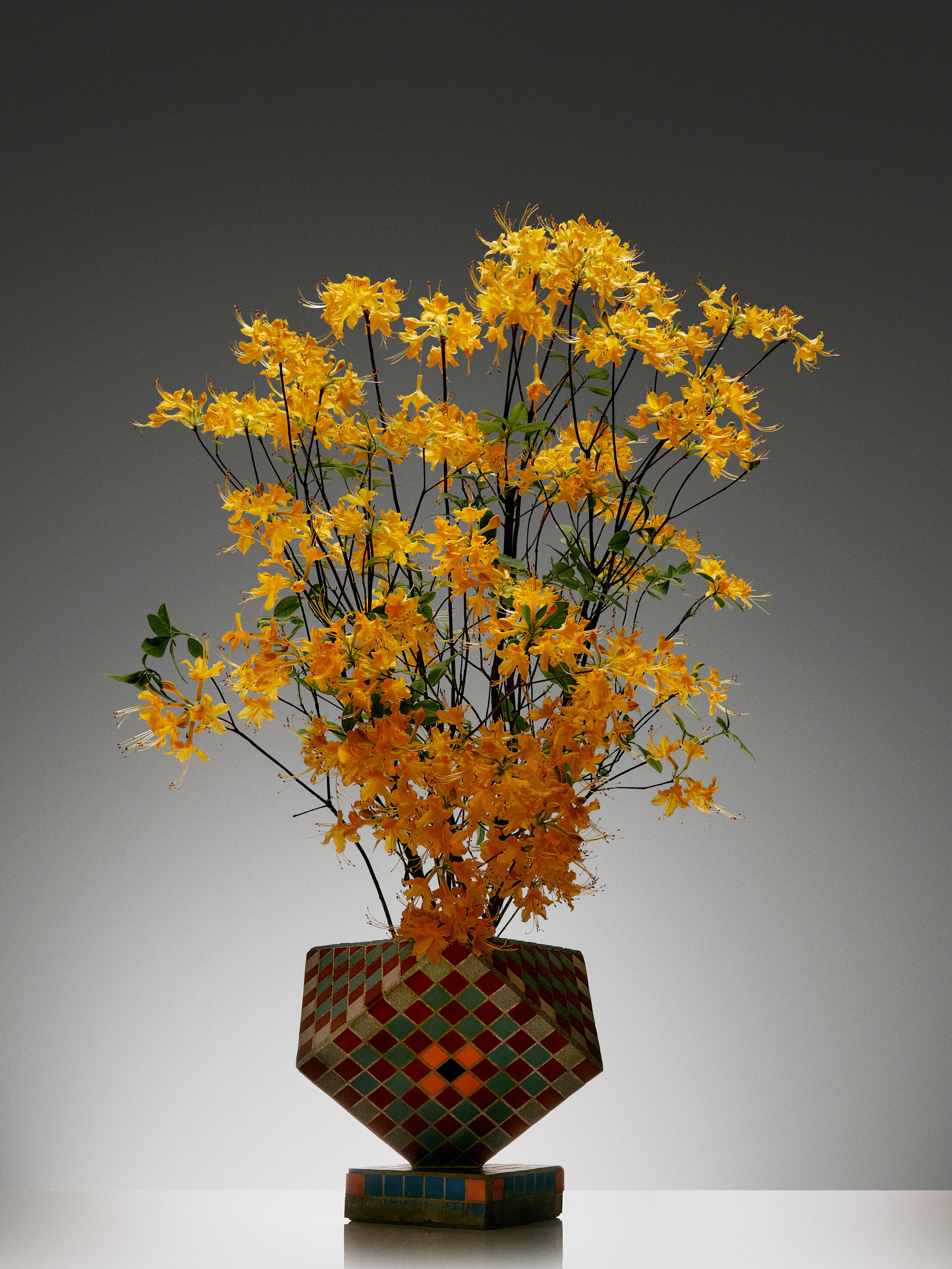 Pollinator Bath Soap Brick - Image 3