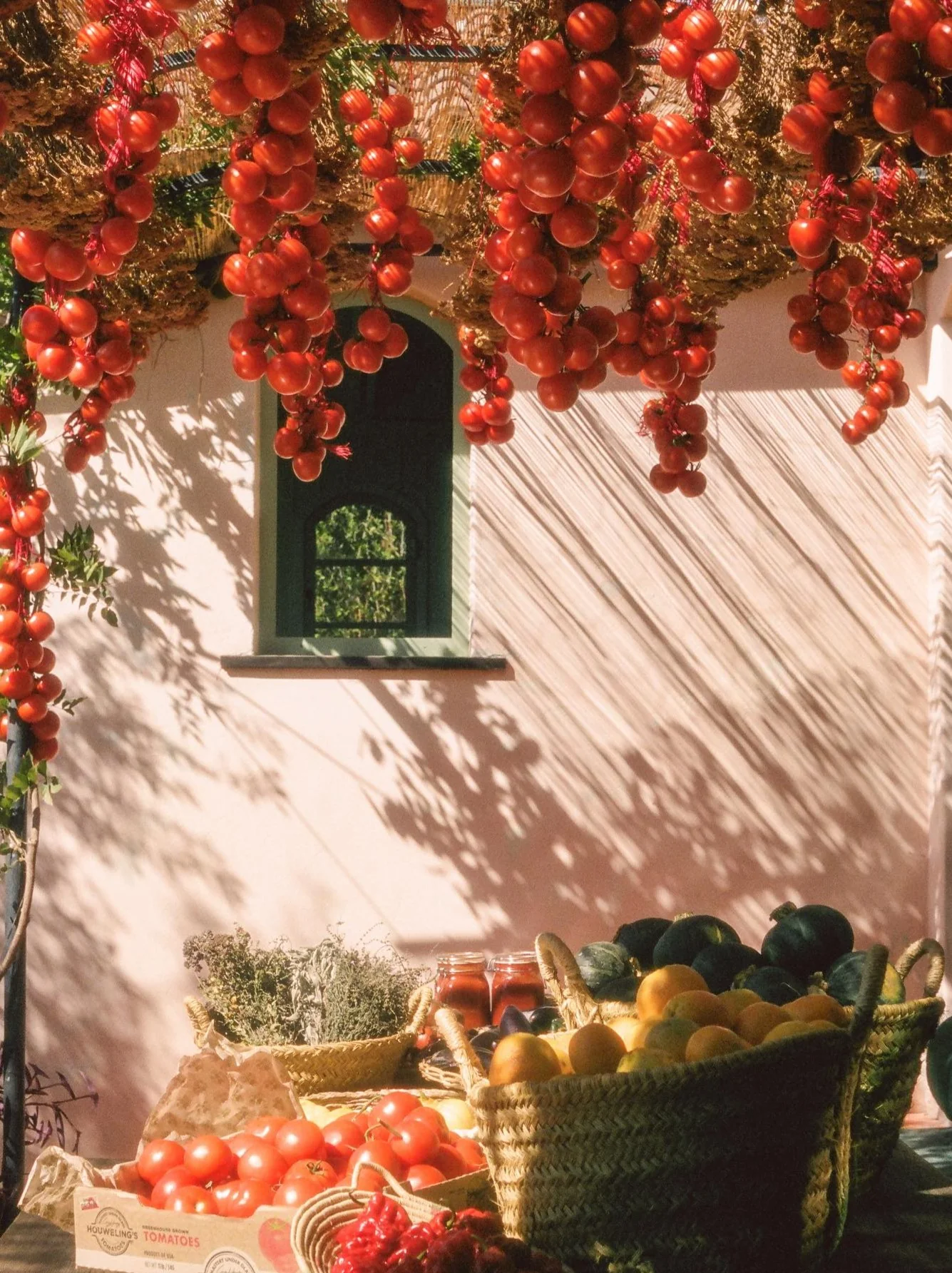 Roma Heirloom Tomato Fragrance Oil - Image 4