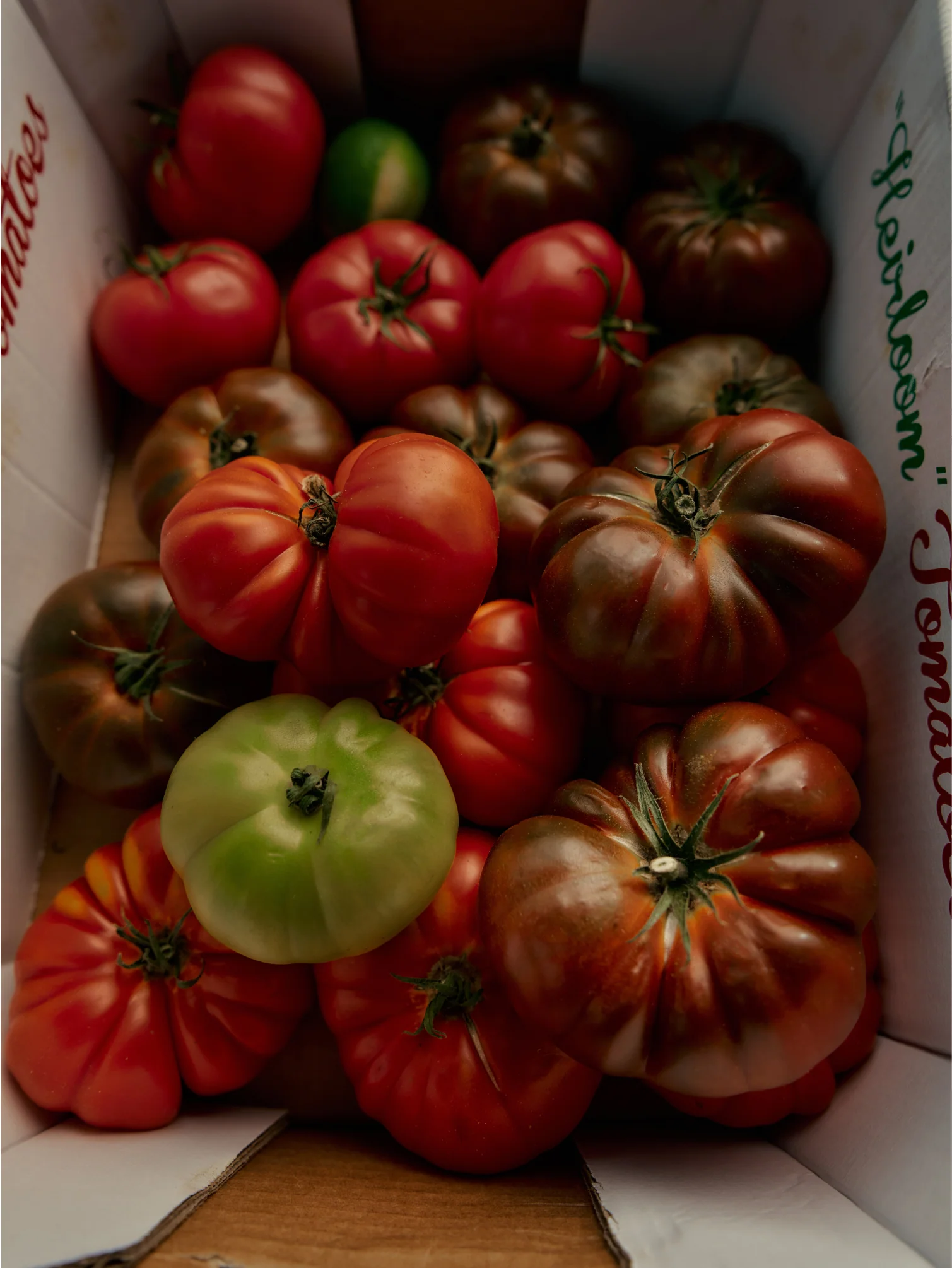 Roma Heirloom Tomato Fragrance Oil - Image 5