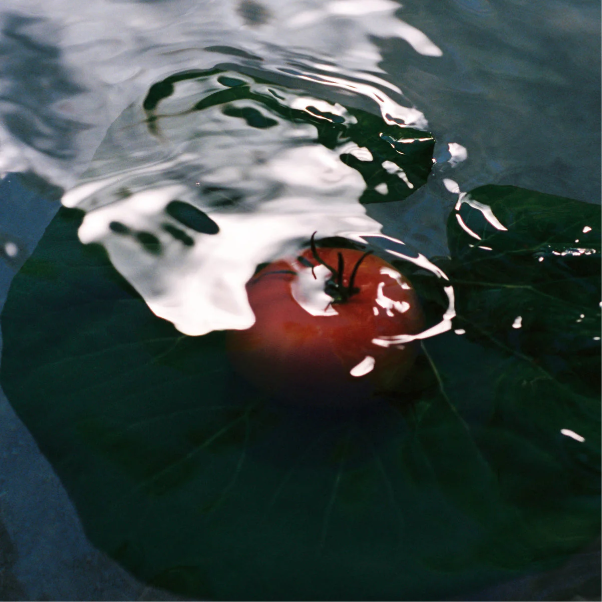 Heirloom Tomato Candle - Image 8