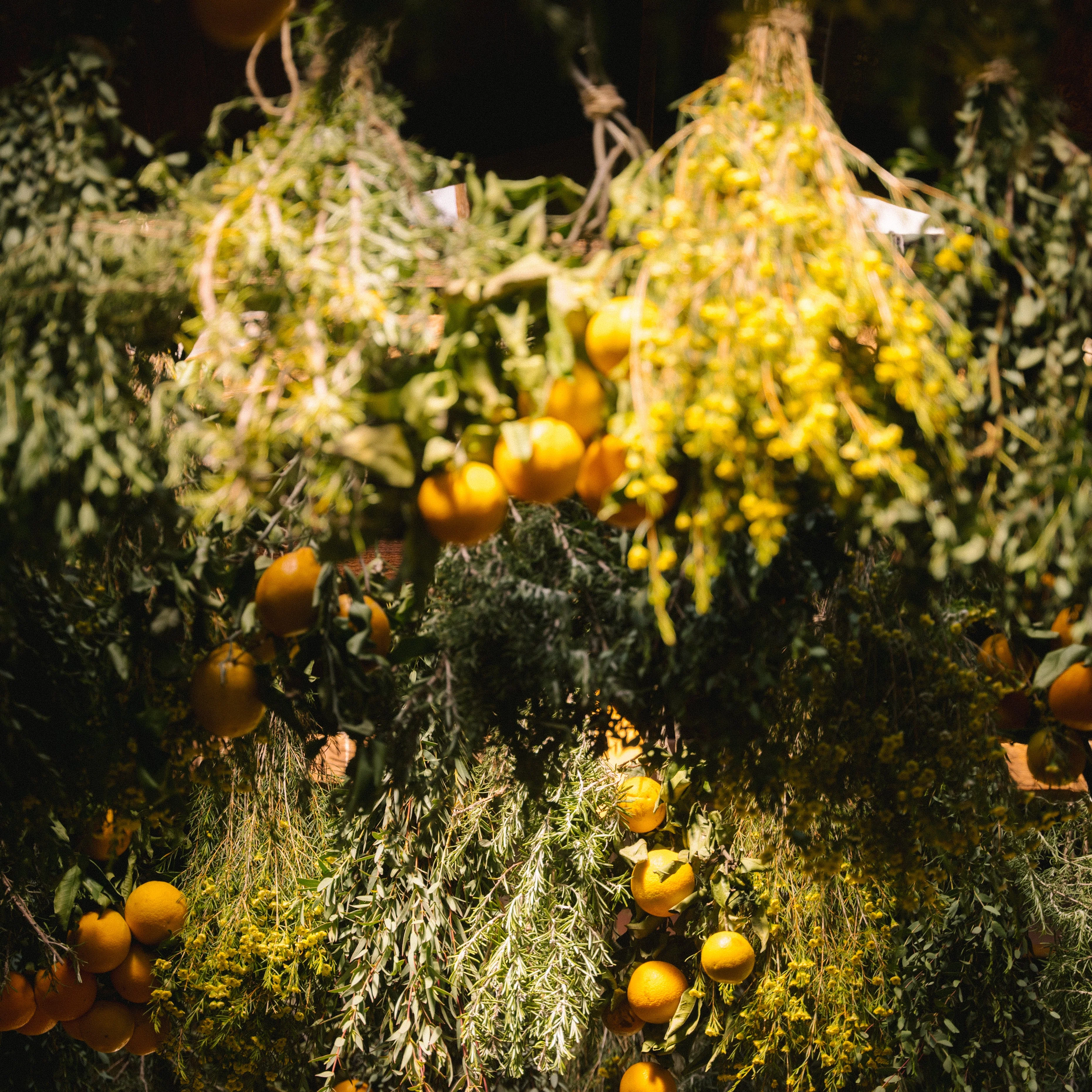 Seasonal Subscription Box - Image 9