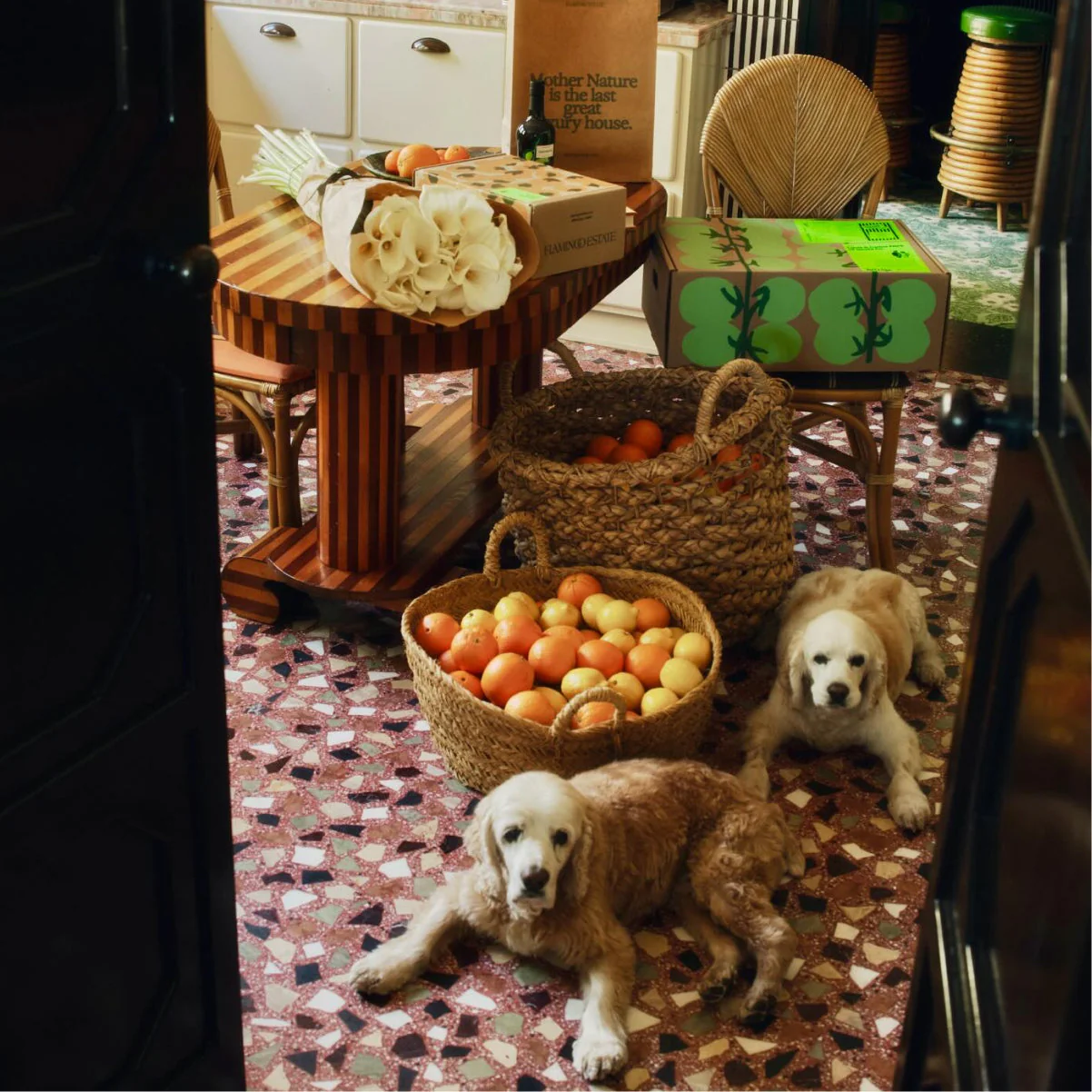 Secret Garden Box - Image 13