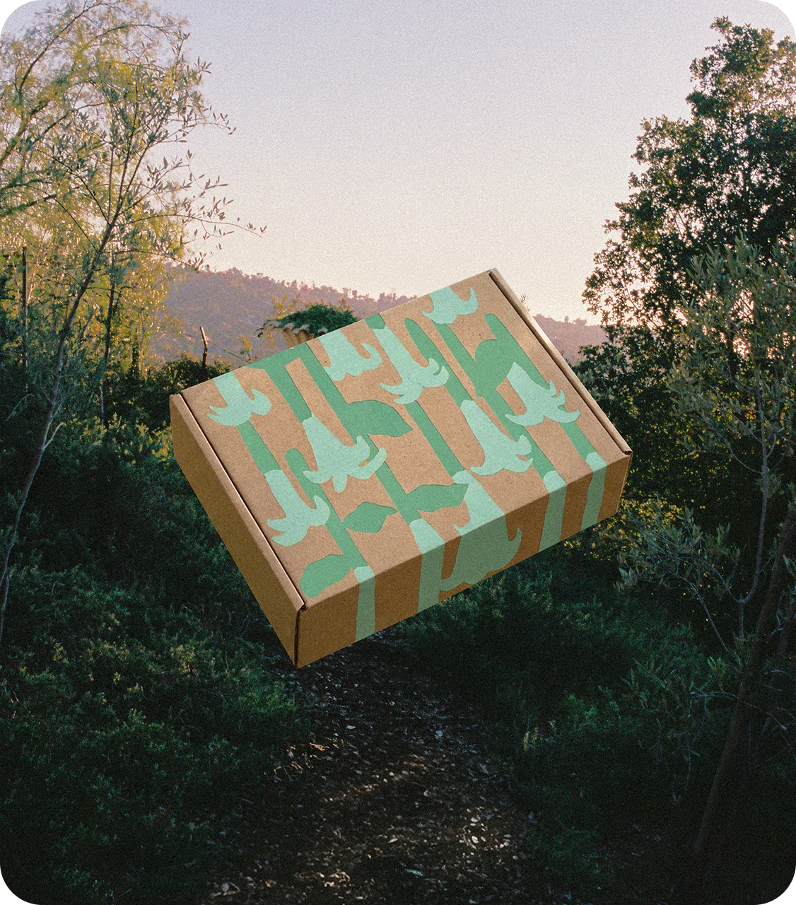 Secret Garden Box - Image 4