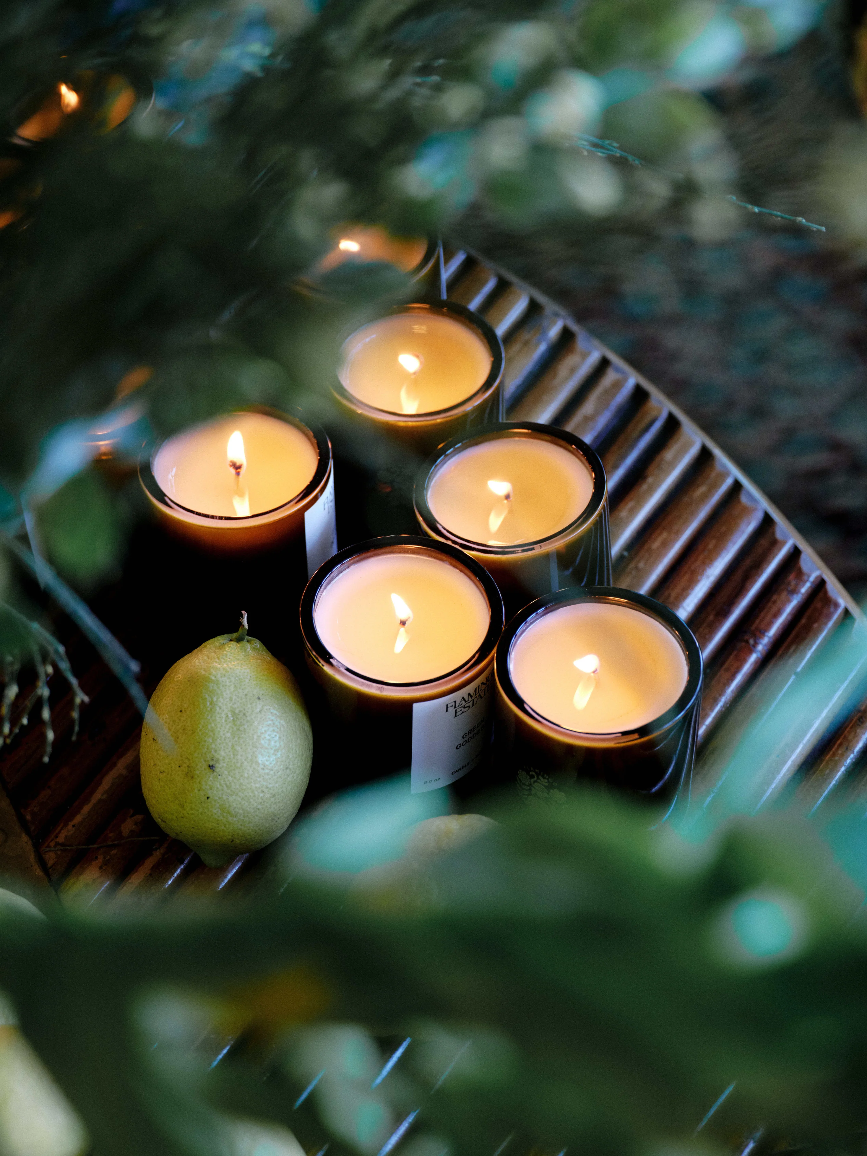 The Candle Greats Kit - Image 5