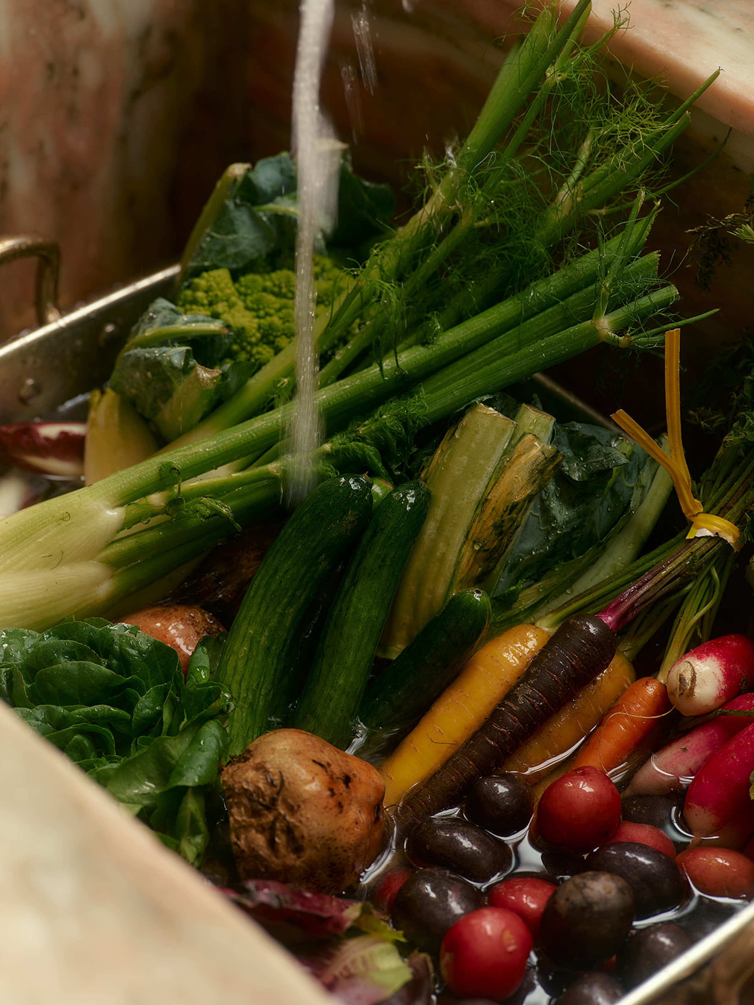 The Regenerative Farm Box - Image 6