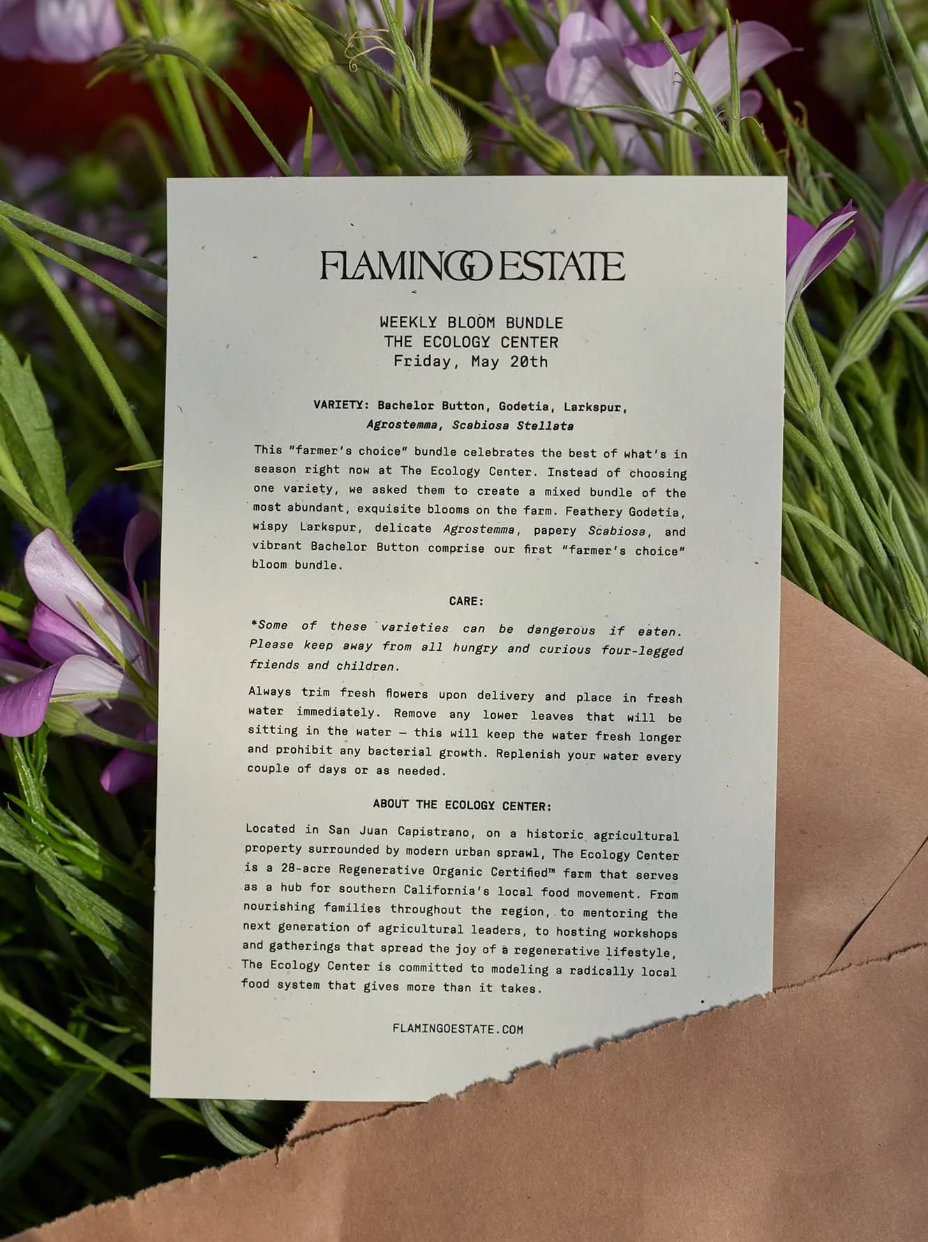 Weekly Bloom Bundle - Image 7